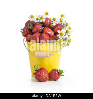 Gelber Eimer mit reife Erdbeeren und Kamillenblüten auf weißem Hintergrund Stockfoto