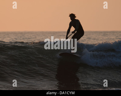 Paddel-Boarder bei Sonnenuntergang, Bude, Cornwall, UK 2013 aufstehen Stockfoto