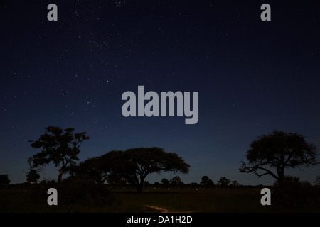 Nachthimmel gesehen von Ngweshla Camp, Hwange Nationalpark, Simbabwe, Südafrika Stockfoto