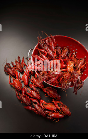 Gekochte Cray Fisch zum Verzehr bereit. Stockfoto