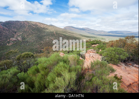 Wilpena Pound in die raue, schöne Flinders Ranges im australischen Outback. Stockfoto