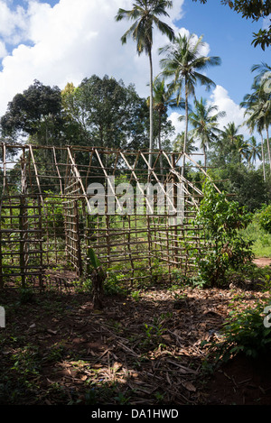 Der Pole Frame einer traditionellen Lehmhütte. Die Gewürzplantage, Sansibar, Vereinigte Republik Tansania, Ostafrika. Stockfoto