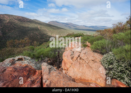 Die robust schön Flinders reicht im australischen Outback. Stockfoto