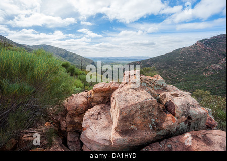 Die robust schön Flinders reicht im australischen Outback. Stockfoto