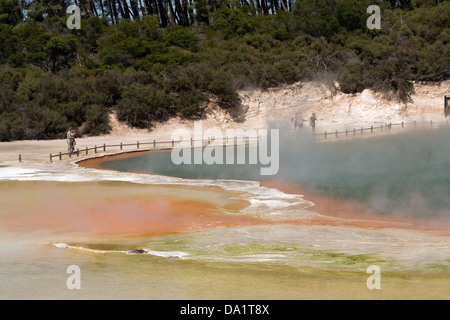 Die Palette des Künstlers im Wai-O-Tapu Thermal Wonderland, ein Landschaftsschutzgebiet gelegen zwischen Taupo und Rotorua, Neuseeland. Stockfoto