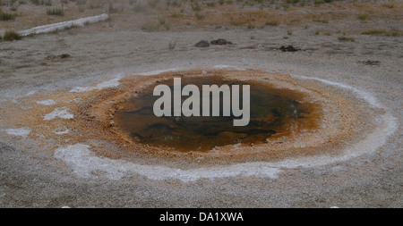 Braune bakterielle Gewässer wirtschaftlichen Geysir, liegende graue Sinter-Ebene mit Bison Kot, Upper Geyser Basin, Yellowstone, USA Stockfoto