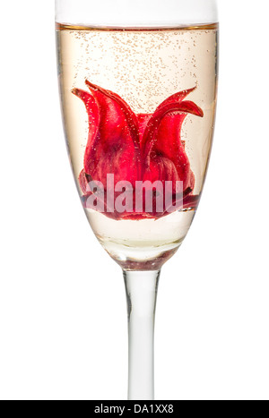 Champagner-cocktail mit Hibiskusblüte Stockfoto