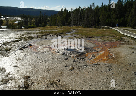 Blick in den Himmel, Bäume, Kiefernwald blau, grau, Sinter Kegel North Schutzbrillen Frühling, Geyser Hill, Upper Geyser Basin, Yellowstone, USA Stockfoto