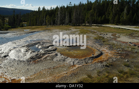 Blick in den blauen Himmel, Wasser Nord Kiefer Bäume Wald, graue Sinter orange Brille Frühling, Geyser Hill, Upper Geyser Basin, Yellowstone Stockfoto