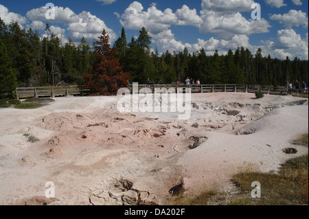 Weiße Wolken Blick auf Kiefer Bäume, Touristen beobachten blubbernden Schlamm, Vent Fountain Paint Pot, Lower Geyser Basin, Yellowstone Stockfoto