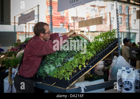 Kunden-Shop in New Amsterdam Market am South Street in New York Stockfoto