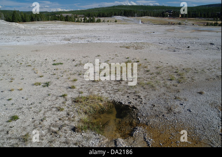 Kleinen Schlot des ungenannten thermische Funktion, in der Nähe von Pumpen, Geysir, über graue Sinter zum ausbrechenden Plume Geysir, Geyser Hill, Yellowstone Stockfoto