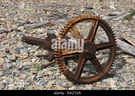 Verrostete Zahnrad, Glacier National Park, Montana, Vereinigte Staaten von Amerika Stockfoto