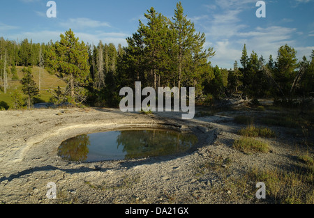 Blauer Himmelsblick auf grünen Pinien und Firehole River, Marathon Pool liegend grau Sintern plain, Upper Geyser Basin, Yellowstone Stockfoto