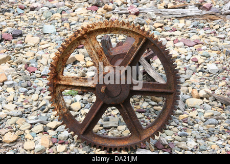 Verrostete Zahnrad, Glacier National Park, Montana, Vereinigte Staaten von Amerika Stockfoto