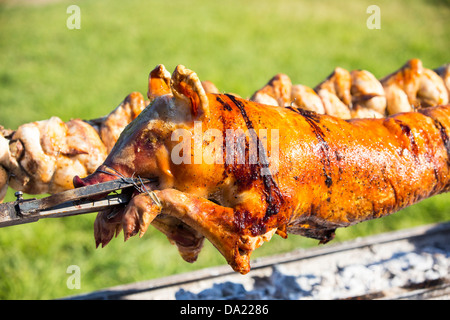 Ein Schwein braten und Rösten über einen Holzkohle Grill Hühner. Stockfoto