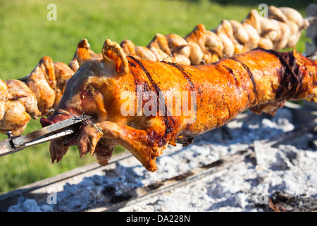 Ein Schwein braten und Rösten über einen Holzkohle Grill Hühner. Stockfoto