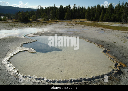 Blauer Blick in den Himmel, zur Promenade Pinien, Sintern Pool mit grauen Schlamm, Wams Pool, Geyser Hill, Upper Geyser Basin, Yellowstone Stockfoto