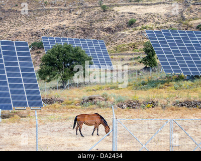 Ein Solarkraftwerk auf Lesbos, Griechenland, bestehend aus einer Anzahl von tracking-Photovoltaik-panels Stockfoto