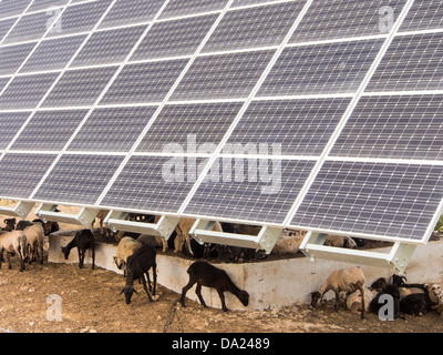 Ein Solarkraftwerk auf Lesbos, Griechenland, bestehend aus einer Anzahl von tracking-Photovoltaik-panels Stockfoto