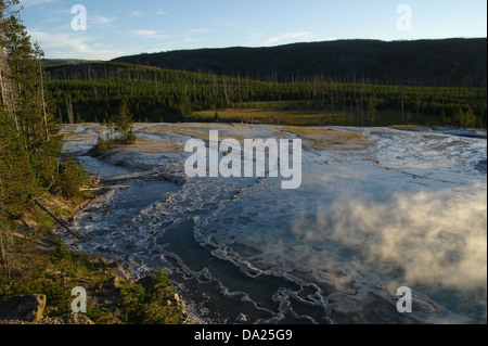 Blauer Himmelsblick auf Hügel Bäume, Überlauf Kreuzung Sinter schlicht aus sonnigen Dampf Artemisia Geysir, Cascade Group, Yellowstone Stockfoto