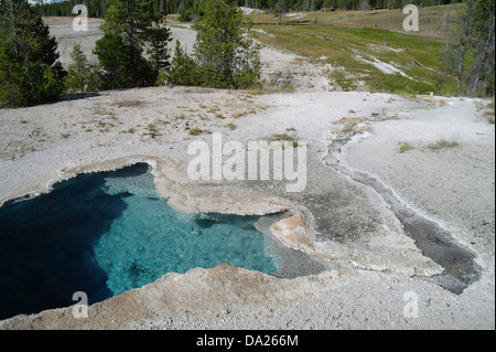 Sonnige Aussicht in Richtung Firehole Creek, Blue Star Spring mit Steckdose Strom, Old Faithful Gruppe Upper Geyser Basin, Yellowstone Stockfoto