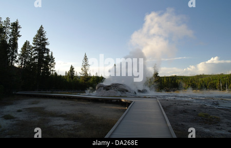 Blauer Himmel Sonnenuntergang Pinien anzeigen Promenade in Richtung und um weißen Dampf steigt Grotto Geysir, Upper Geyser Basin, Yellowstone Stockfoto