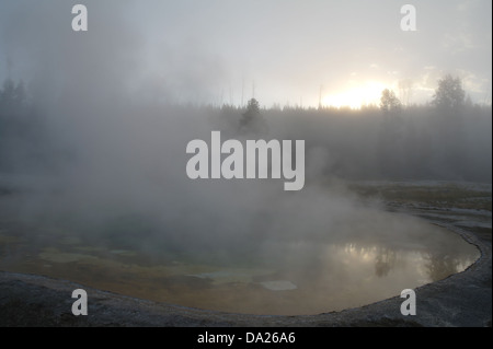 Dampf steigt bunt Wasser Schönheit Pool in Richtung Sonne Nebel Himmel Hügel Bäume, Upper Geyser Basin, Yellowstone, USA Stockfoto