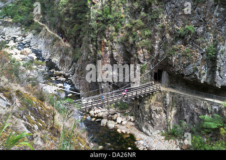 dh Brücke Waitawheta Fluß KARANGAHAKE GORGE Neuseeland Menschen auf Fußweg über Schlucht Fluss Fuß creek Stockfoto