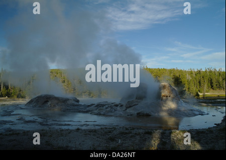 Blauer Himmel, Abend Sonne Blick auf grüne Bäume Hang, dämpfen, Rakete und Sonnenstrahlen Grotte Geysire, Upper Geyser Basin, Yellowstone Stockfoto