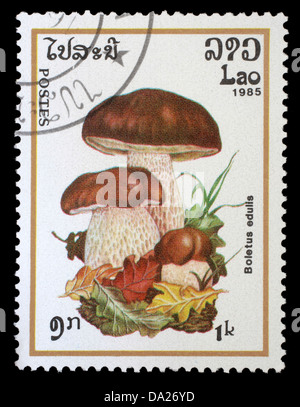 LAOS - CIRCA 1985: Eine Briefmarke gedruckt in Laos zeigt Pilz mit der Aufschrift "Boletus Edulis" Stockfoto