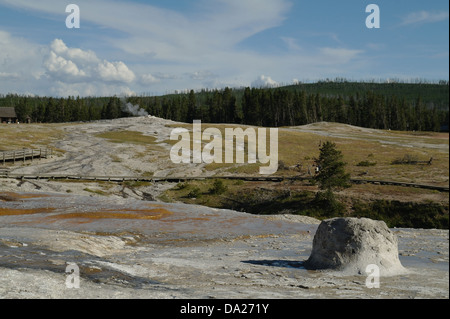 Blauer Himmelsblick auf steigende Old Faithful Geysir, Beehive Geysir grau orange Sinter Hang, Geyser Hill, Yellowstone steigt Dampf Stockfoto