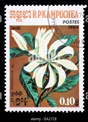 Kambodscha-CIRCA 1984: eine Briefmarke gedruckt in Kambodscha, zeigt eine Blume Magnolia (Disambigusierung), ca. 1984 Stockfoto