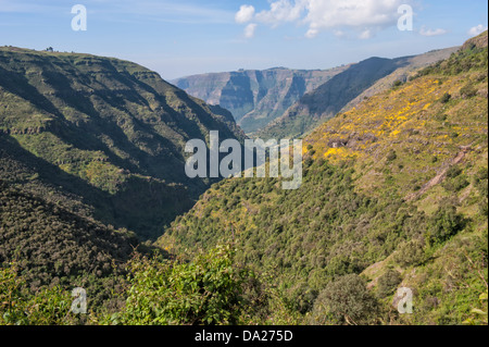 Simien Mountains Nationalpark, UNESCO-Weltkulturerbe, Amhara Region, Äthiopien Stockfoto