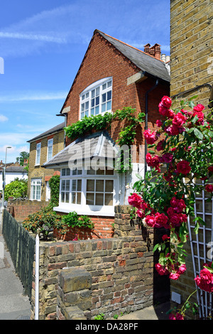 Periode Cottage mit Rosen, grüne Straße, Sunbury-on-Thames, Surrey, England, Vereinigtes Königreich Stockfoto