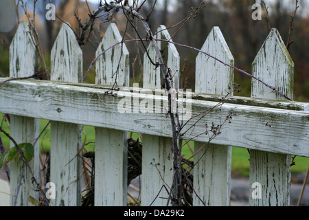 weißer Zaun alten verwitterten Rebe Gartenhaus Bauernhof horizontale Stockfoto