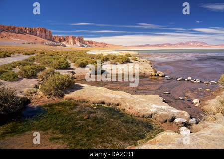 Salt Lake Salar de Tara, Wüste Atacama, Chile Stockfoto