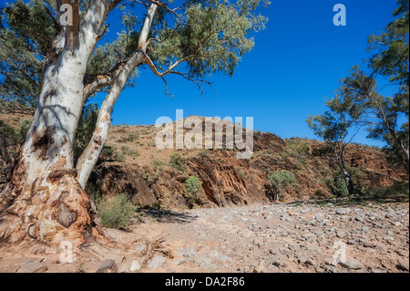 Einem trockenen Outback-Flussbett in einem South Australia robust schön Flinders Ranges. Stockfoto