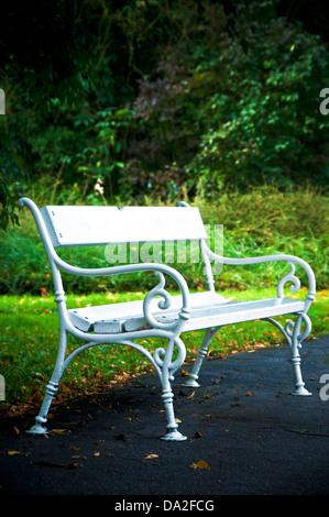 weiße Bank in einem park Stockfoto