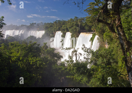 Iguazu Wasserfälle gesehen aus dem Regenwald Stockfoto