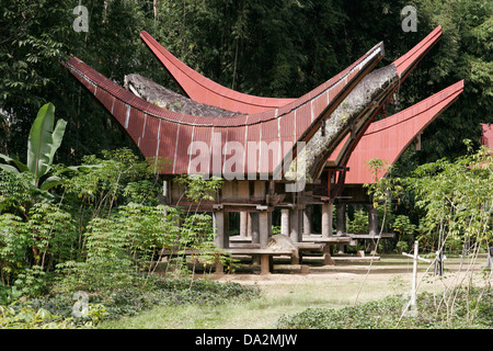 Traditionelle Toraja Häuser (Tongkonan) im Dorf, Tona Toraja, Sulawesi, Indonesien Stockfoto