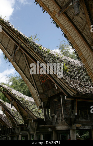 Traditionelle Toraja Häuser (Tongkonan) in Kete Kesu Vilage, Tona Toraja, Sulawesi, Indonesien Stockfoto