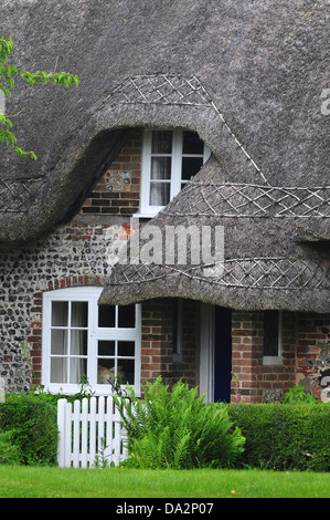 Ein Reetdachhaus in Tarrant Monkton Dorf, Dorset, Großbritannien Stockfoto