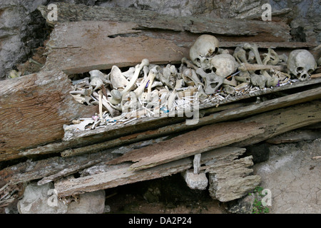 Zerstörten Sarg voller Schädel und Knochen in Toraja Cemetery in Kete Kesu Dorf, Tana Toraja, Sulawesi, Indonesien Stockfoto