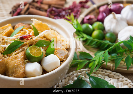 Singapur berühmten curry Nudel oder Laksa Mee mit Dekorationen auf Hintergrund. Stockfoto