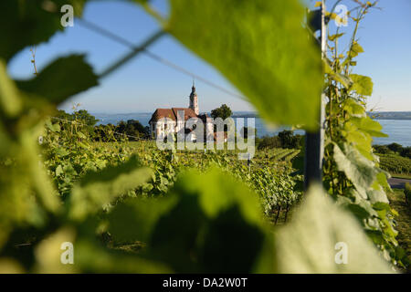 Die Birnau Cloisture Kirche wird von der Abendsonne am Bodensee in Uhldingen-Muehlhofen, Deutschland, 1. Juli 2013 beleuchtet. Foto: FELIX KAESTLE Stockfoto