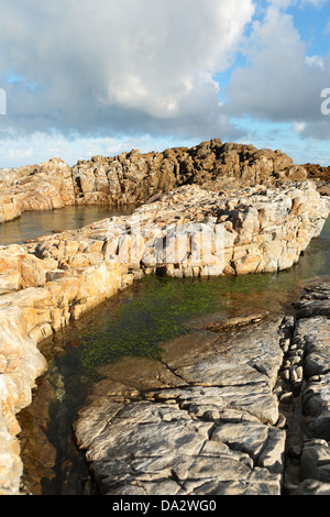 Fels-Pools an der Küste Gefahrenstelle, Gansbaai, Provinz Western Cape, Südafrika Stockfoto