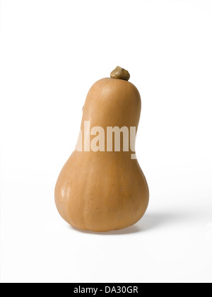 Kürbis Stockfoto