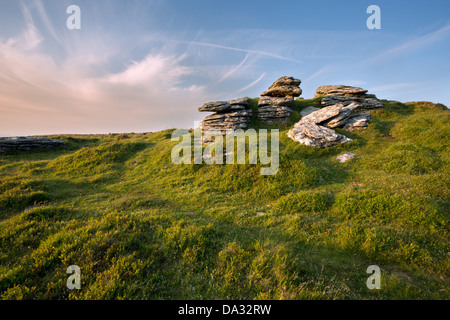 Hookney Tor Dartmoor Nationalpark Devon Uk Stockfoto