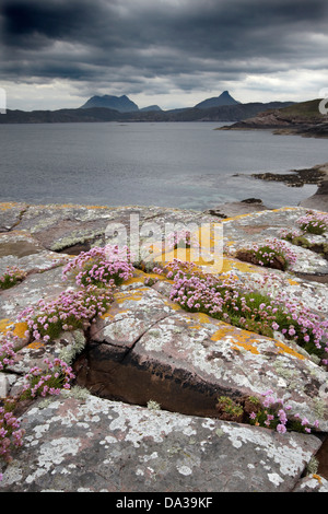 Felsen in Sparsamkeit abgedeckt und Flechten unter einem dramatischen Himmel auf der Küstenlinie von enard Bay, Sutherland, North West, Schottland, Großbritannien Stockfoto